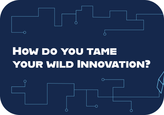 Taming Your Wild Innovation
